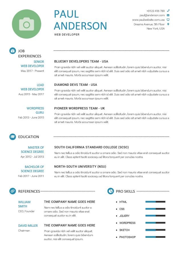 Plantilla CV Basica Profesional