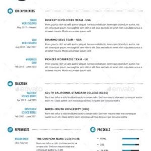 Plantilla CV Básica Profesional