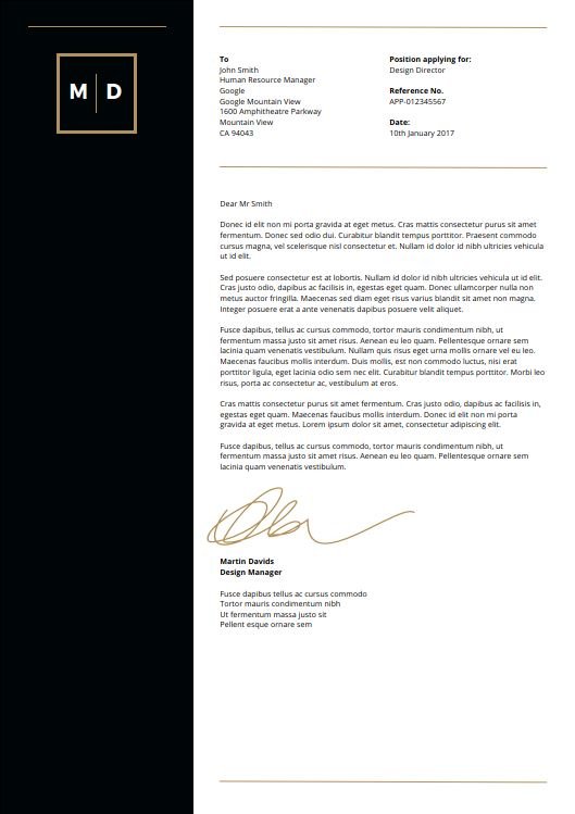 CV Profesional Full - Imagen 2