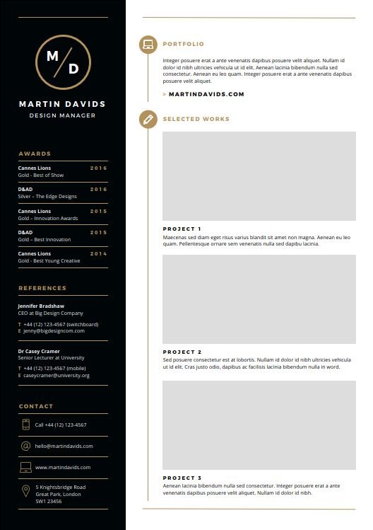 CV Profesional Full - Imagen 4